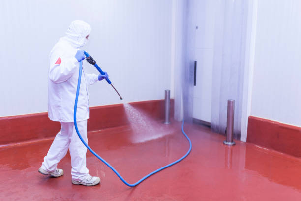 Best Graffiti Removal  in Bay Village, OH